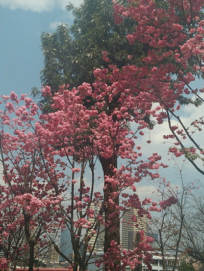 3.8節(jié)出游心得體會(huì)
