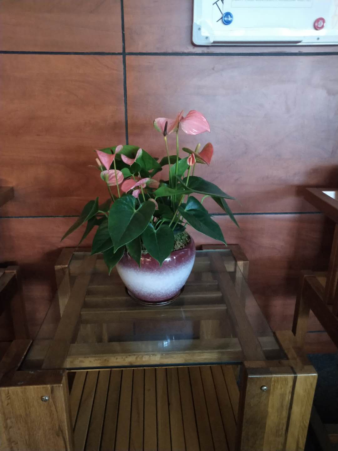 辦公室的改觀
